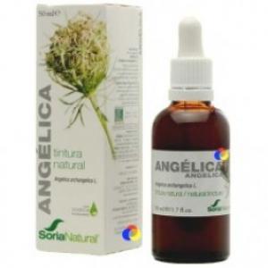 EXT.ANGELICA XXI 50ml.SORIA NATURAL S.L.