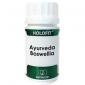 HOLOFIT ayurveda boswelia 50cap. EQUISALUD