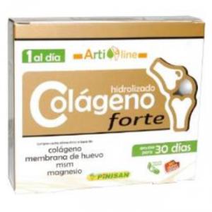 COLAGENO HIDRO. FORTE 30 CAP PINISAN