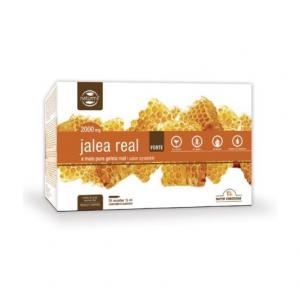 JALEA REAL FORTE 2000mg 20 AMP DIETMED