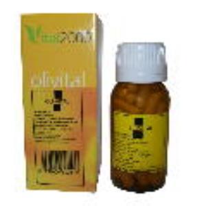 OLIVITAL Nº 5 (ZINC/COBRE) VITAL 2000 