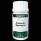 HOLOFIT ayurveda Gymnema 50 capsulas EQUISALUD