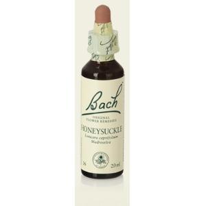 HONEYSUCKLE /  MADRESELVA Nº 16.  20ml. BACH