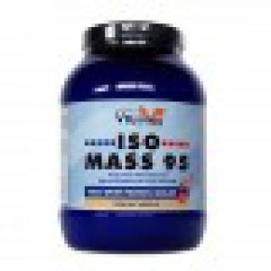 ISO MASS 95 SABOR VAINILLA 1000GR	 VBYOTICS