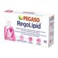 REGOLIPID 30comp. PINISAN