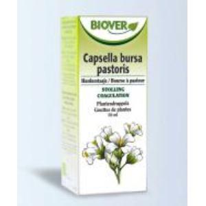 EXT. BOLSA PASTOR 50ML BIOVER