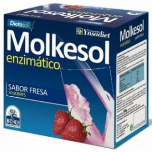 MOLKESOL enzimatico fresa 30sbrs. YNSADIET