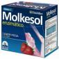 MOLKESOL enzimatico fresa 30sbrs. YNSADIET