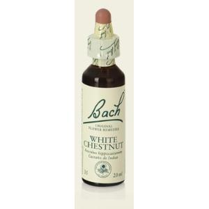 WHITE CHESTNUT (CASTAÑO BLANCO) 20ml. F. BACH