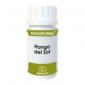 HOLOFUNGI hongo del sol 50cap. EQUISALUD