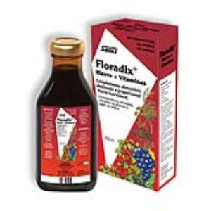 FLORADIX  HIERRO 250 ML SALUS