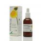 EXT.DIENTE LEON S/AL 50ml.SORIA NATURAL S.L.