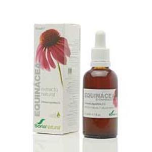 EXT.ECHINACEA S/AL 50ml. SORIA NATURAL 