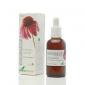 EXT.ECHINACEA S/AL 50ml. SORIA NATURAL 