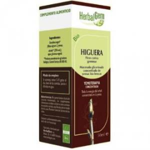 HIGUERA macerado glicerinado 50ml. HERBALGEM