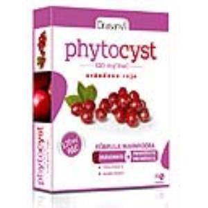 PHYTOCYST 120MG 30 COMP DRASANVI