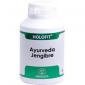 HOLOFIT ayurveda jengibre 180cap. EQUISALUD