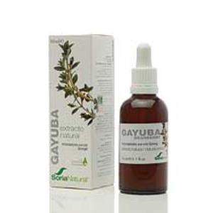 EXT.GAYUBA S/AL 50ml.SORIA NATURAL S.L.