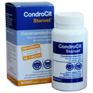 CONDROCIT STANVET 60 comp.  STANGEST 