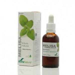 EXT.MELISA XXI 50ml.SORIA NATURAL S.L.