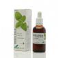 EXT.MELISA XXI 50ml.SORIA NATURAL S.L.