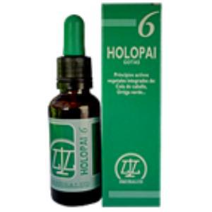 PAI-6 HOLOPAI (REGENERADOR TEJ.,ANTIINFLAMAT.)EQUI