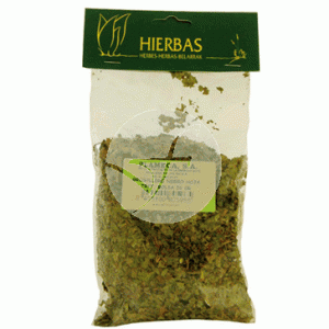 GROSELLERO NEGRO HOJA TRIT.50 GR PLAMECA 