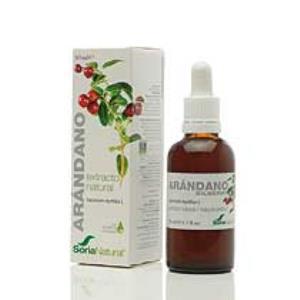 EXT.ARANDANO XXI S/AL 50ml.SORIA NATURAL