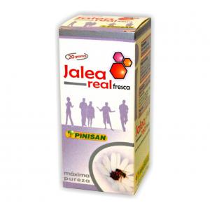 JALEA REAL FRESCA 20G PINISAN 