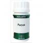 HOLOFIT fucus 180cap EQUISALUD