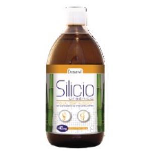 SILICIO ORGANICO 1L DRASANVI