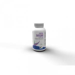 FEPA MSM + C 90comp. FEPA NUTRINAT