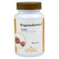 MEGANODERMA-C REISHI 60 CAP JELLYBELL