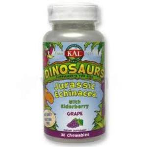 JURASSIC ECHINACEA dinos 30comp. KAL.SOLARAY