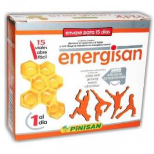 ENERGISAN 15AMP PINISAN 