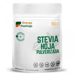 STEVIA POLVO ECO 100grs. INST.  ENERGYFRUIT