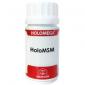 HOLOMSM 50cap. EQUISALUD