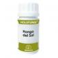 HOLOFUNGI hongo del sol 180cap. EQUISALUD