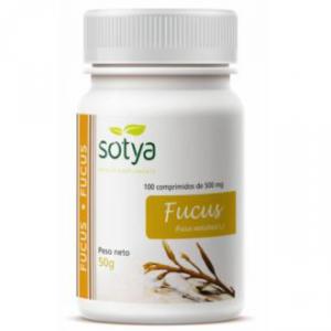 FUCUS 100 COMP SOTYA