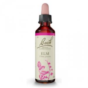 ELM / OLMO  Nº11.  20ml.  BACH