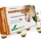 HARPAGOFITO 60comp.SORIA NATURAL S.L.