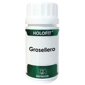 HOLOFIT GROSELLERO 60cap. EQUISALUD