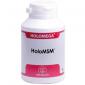 HOLOMSM 180cap. EQUISALUD