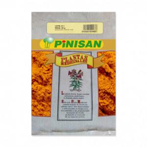 CURCUMA RAIZ POLVO 50grs. PINISAN