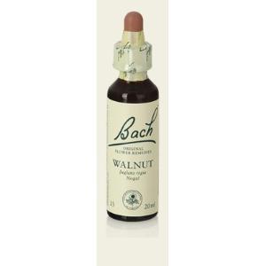 WALNUT / NOGAL Nº 33.  20ml. BACH