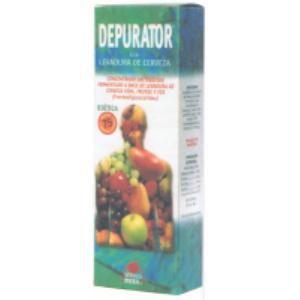 PHYTONORM DEPURATOR levaduras jarabe 250ml.INTERSA