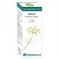 BIO ESSENTIAL OILS hinojo aceite esencial 10ml. EQ