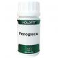 HOLOFIT FENOGRECO 50cap EQUISALUD