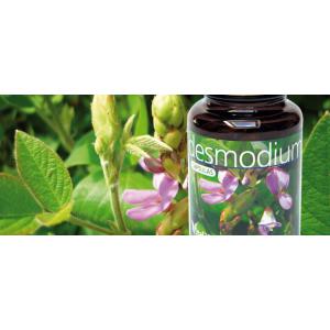 DESMODIUM 60 CAP 500MG VITAL 2000 S.L.