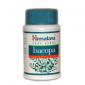 BACOPA 60 CAP(SUTERA CORDATA) HIMALAYA